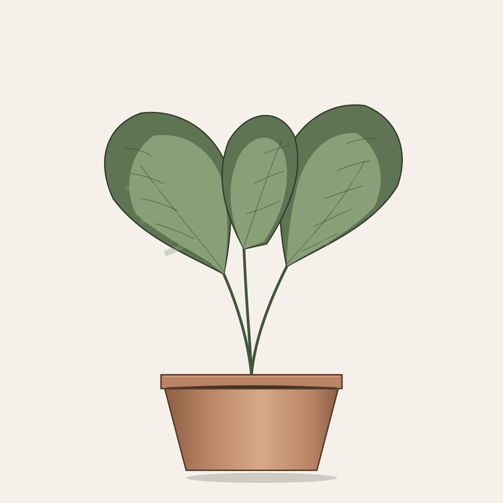 Monstera, Monstera deliciosa